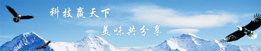 内页广告